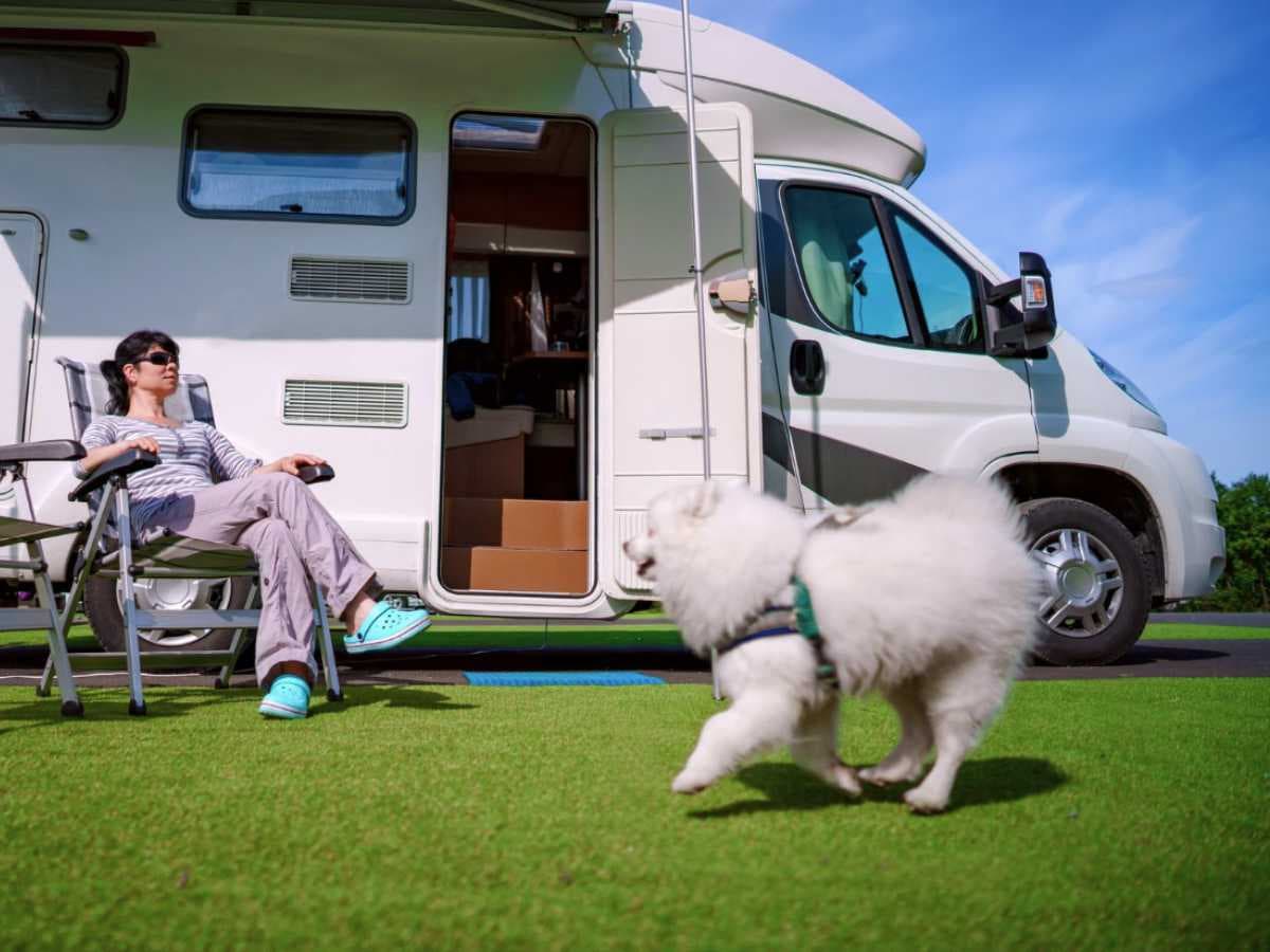 Hund im Camper willkommen